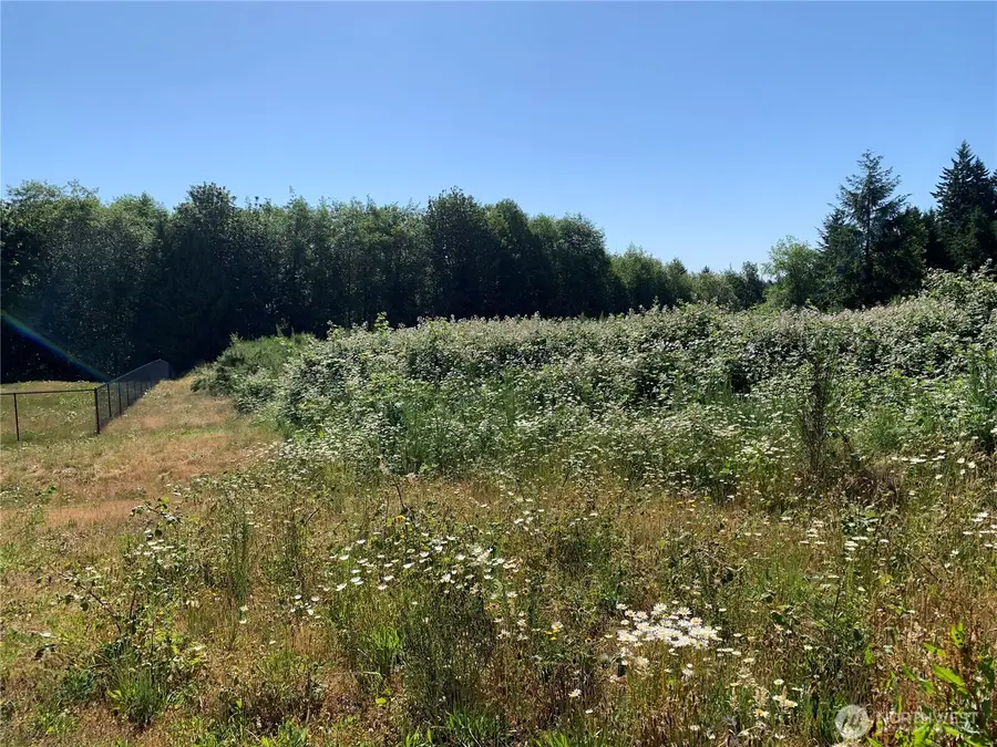 17226 17th Street Court Sw, Lakebay, WA 98349 - Image #3