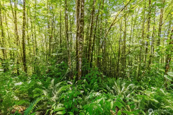 11 Cassie Place Nw #11, Poulsbo, WA 98370