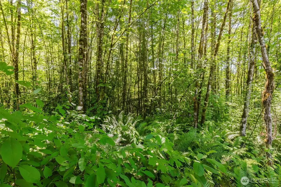 11 Cassie Place Nw #11, Poulsbo, WA 98370 - Image #3