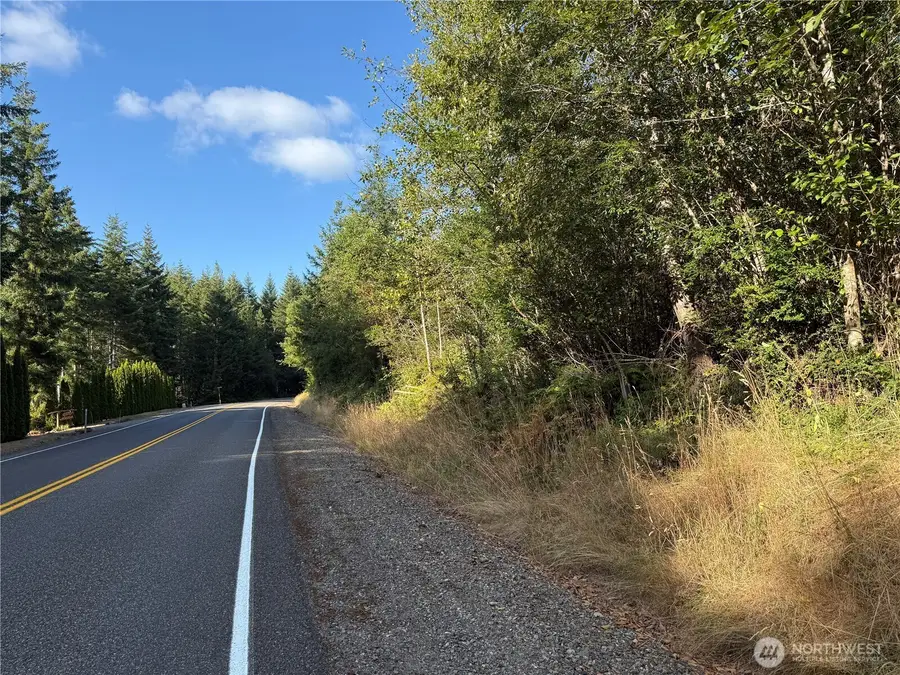 2 E Rasor (& E Trails End) Road, Belfair, WA 98528 - Image #3