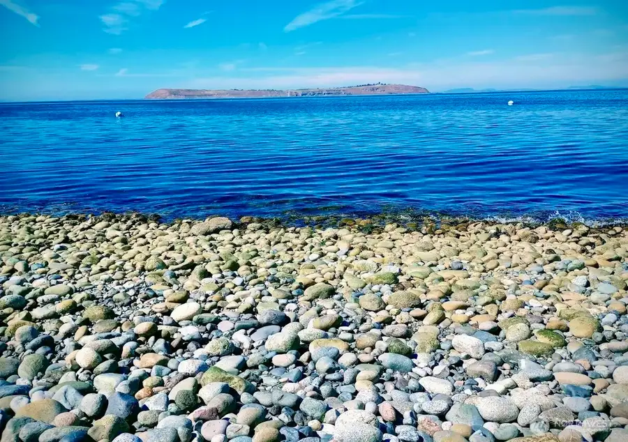 150 West Street #26, Sequim, WA 98382 - Image #3