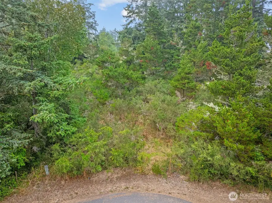 1016 Lola Court, Ocean Shores, WA 98569 - Image #3