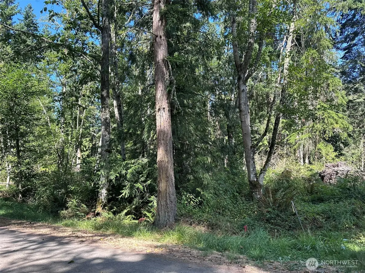 144 Took A Look Lane #LOT 1 LYON TRUST SP V26 P12 SE, Sequim, WA 98382 - Image #1