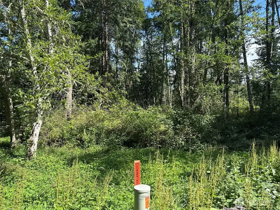 144 Took A Look Lane #LOT 1 LYON TRUST SP V26 P12 SE, Sequim, WA 98382 - Image #2