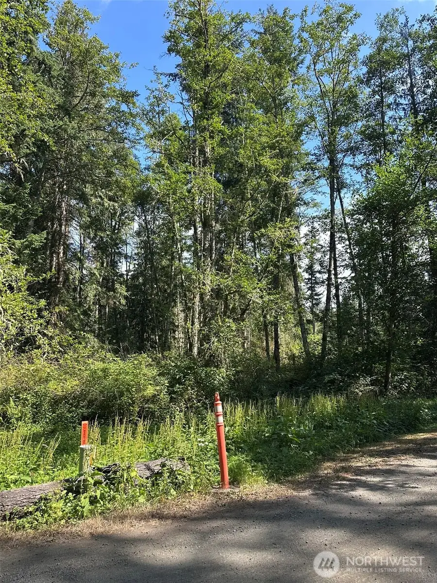 144 Took A Look Lane #LOT 1 LYON TRUST SP V26 P12 SE, Sequim, WA 98382 - Image #3