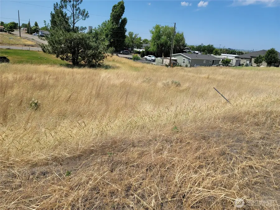 0 Parcel # 060797000 Washington Avenue S #3 to 6, Warden, WA 98857 - Image #3