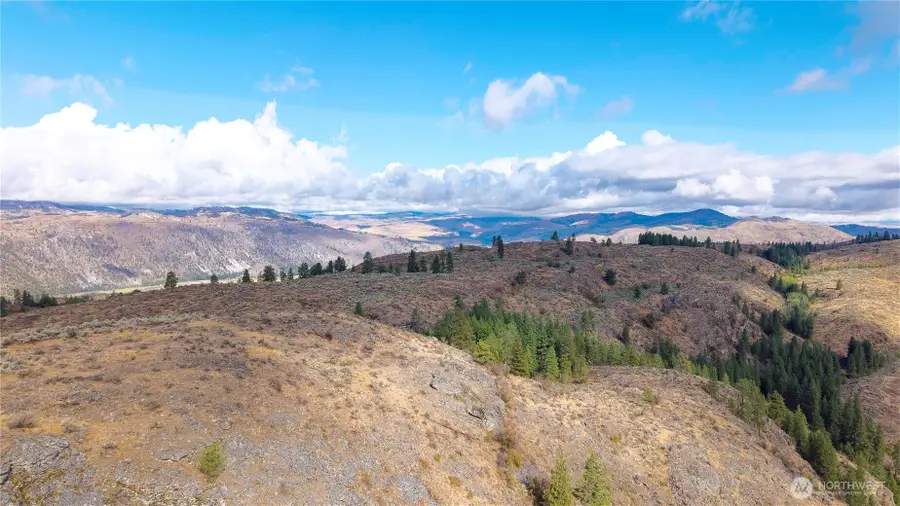 0 Tbd Pharr Out - 7 Way, Omak, WA 98841 - Image #2