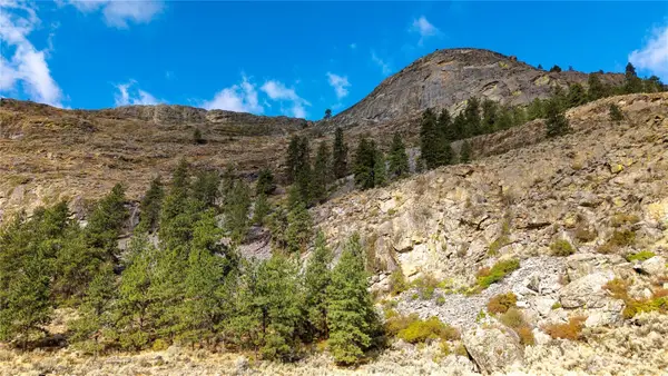 0 Tbd Pharr Out - 17 Way, Omak, WA 98841