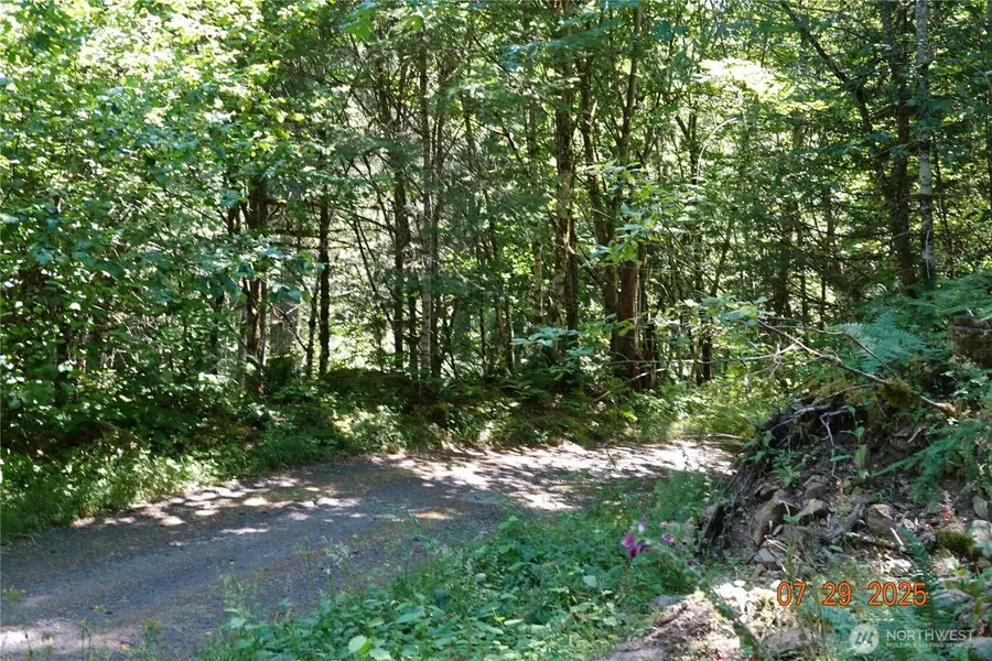 1 Duncan Creek Road, Stevenson, WA 98648 - Image #2