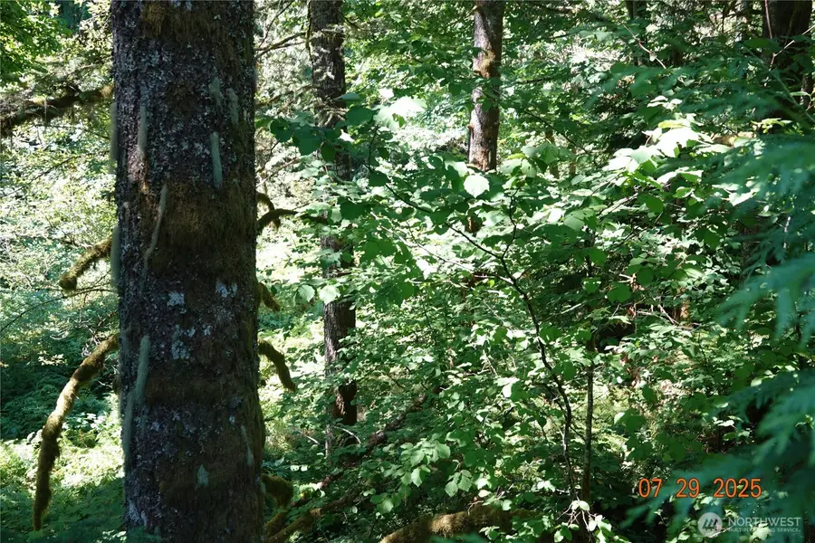 1 Duncan Creek Road, Stevenson, WA 98648 - Image #3