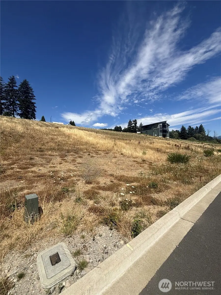 145 Upper Basso Circle #42, Skamania, WA 98648 - Image #2