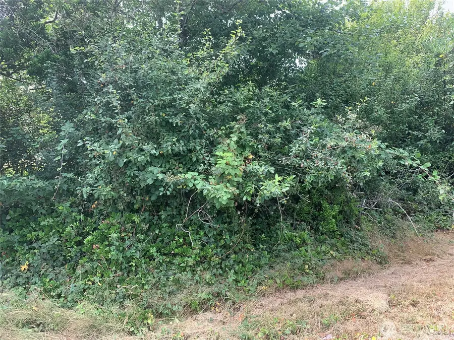 541 Point Brown Avenue Sw #318, Ocean Shores, WA 98569 - Image #2