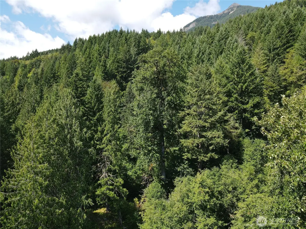 0 Cannon Road, White Pass, WA 98937 - Image #1