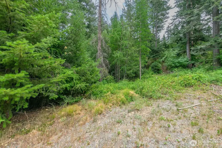 6409 Forest Ridge Drive, Wenatchee, WA 98801 - Image #3