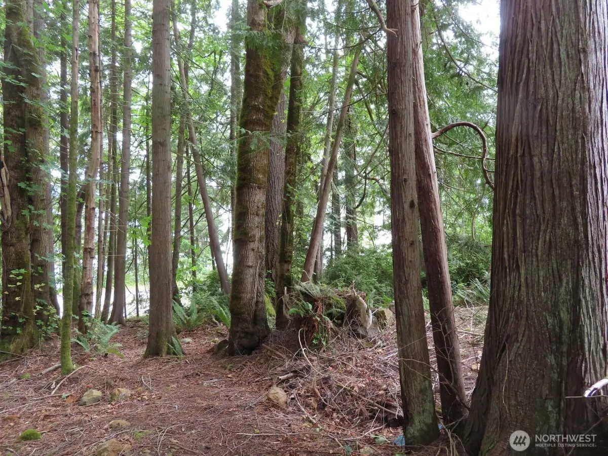 0 Tog Road, Brinnon, WA 98320 - Image #1