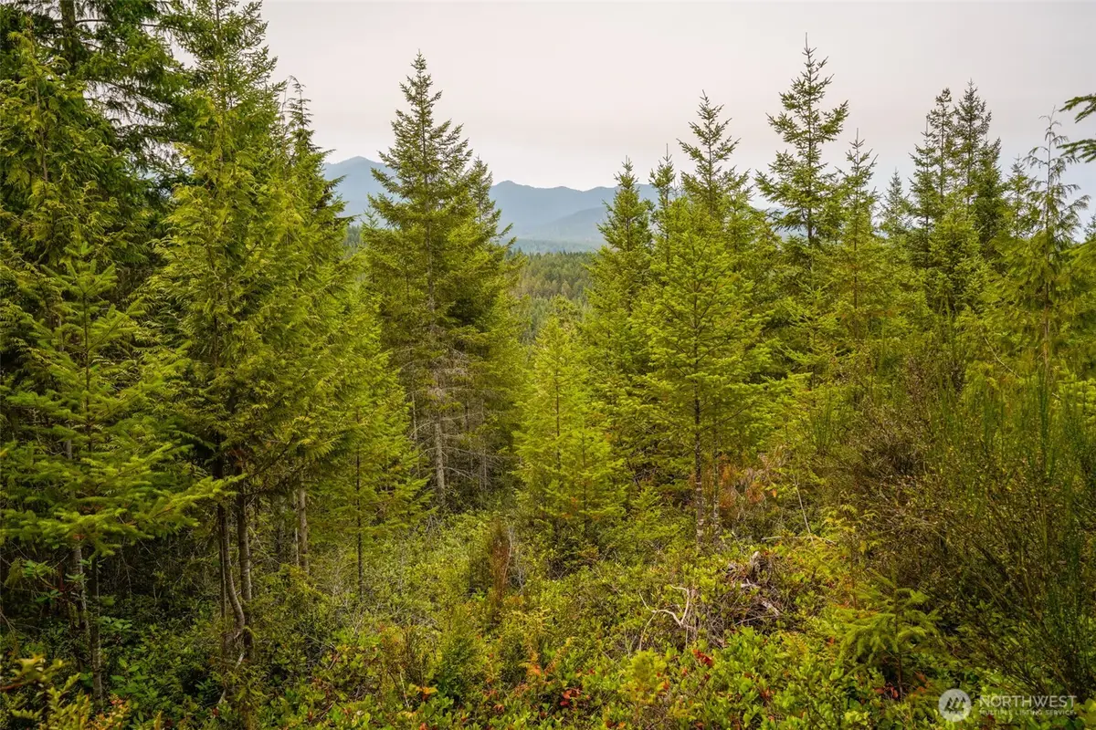 0 N Hamma Ridge Court, Lilliwaup, WA 98555 - Image #1