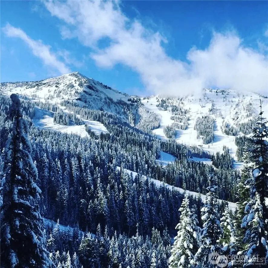 319 Gold Hill Rd Lot 4 #4, Greenwater, WA 98022 - Image #2