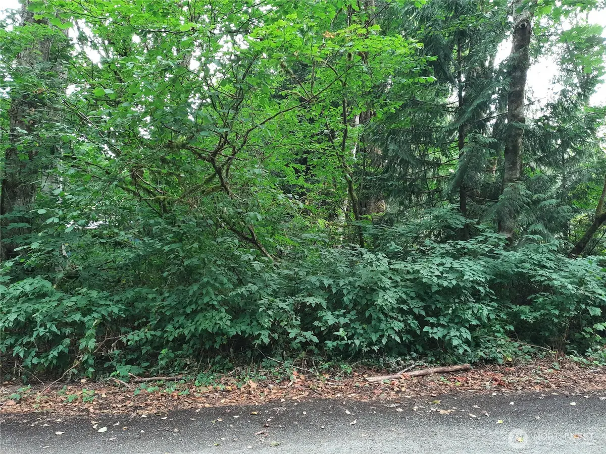 0 Spruce Street #34, Concrete, WA 98237 - Image #1