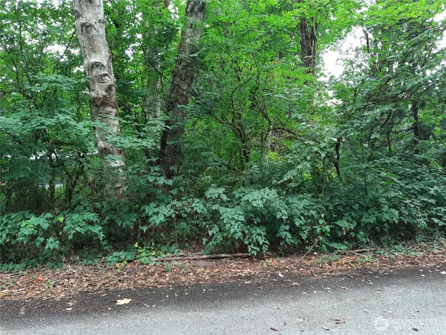 0 Spruce Street #34, Concrete, WA 98237 - Image #2