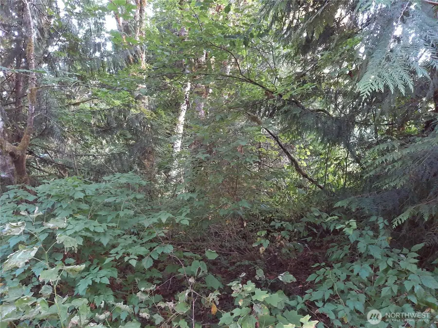 0 Spruce Street #34, Concrete, WA 98237 - Image #3