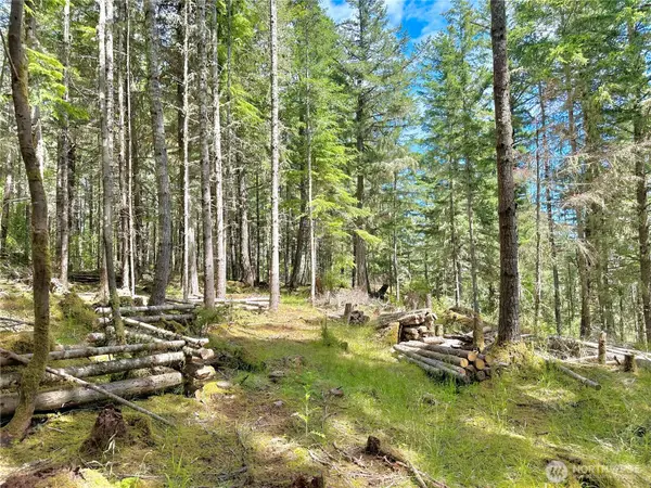 0 Pioneer Hill Road #Lot 3 Parcel B, Orcas Island, WA 98279