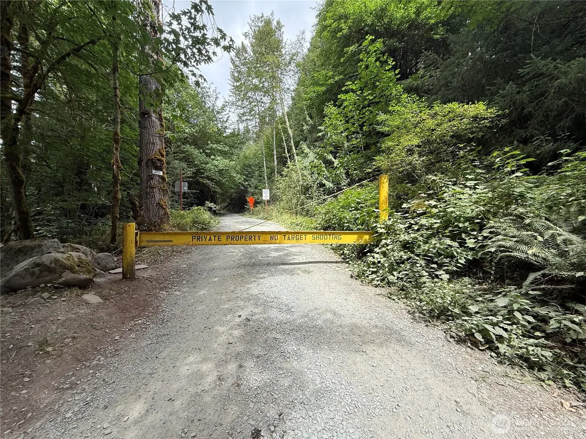 327 Kolisch Road E, Carbonado, WA 98323 - Image #1