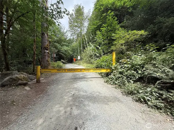 327 Kolisch Road E, Carbonado, WA 98323