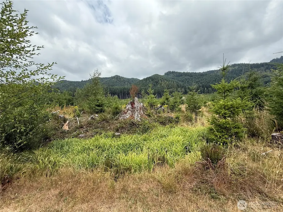 327 Kolisch Road E, Carbonado, WA 98323 - Image #2