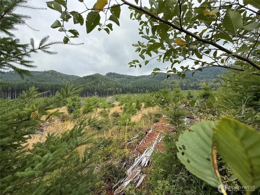 327 Kolisch Road E, Carbonado, WA 98323 - Image #3