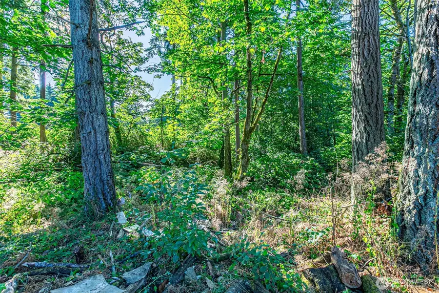 36922 6th Avenue Sw, Federal Way, WA 98023 - Image #3