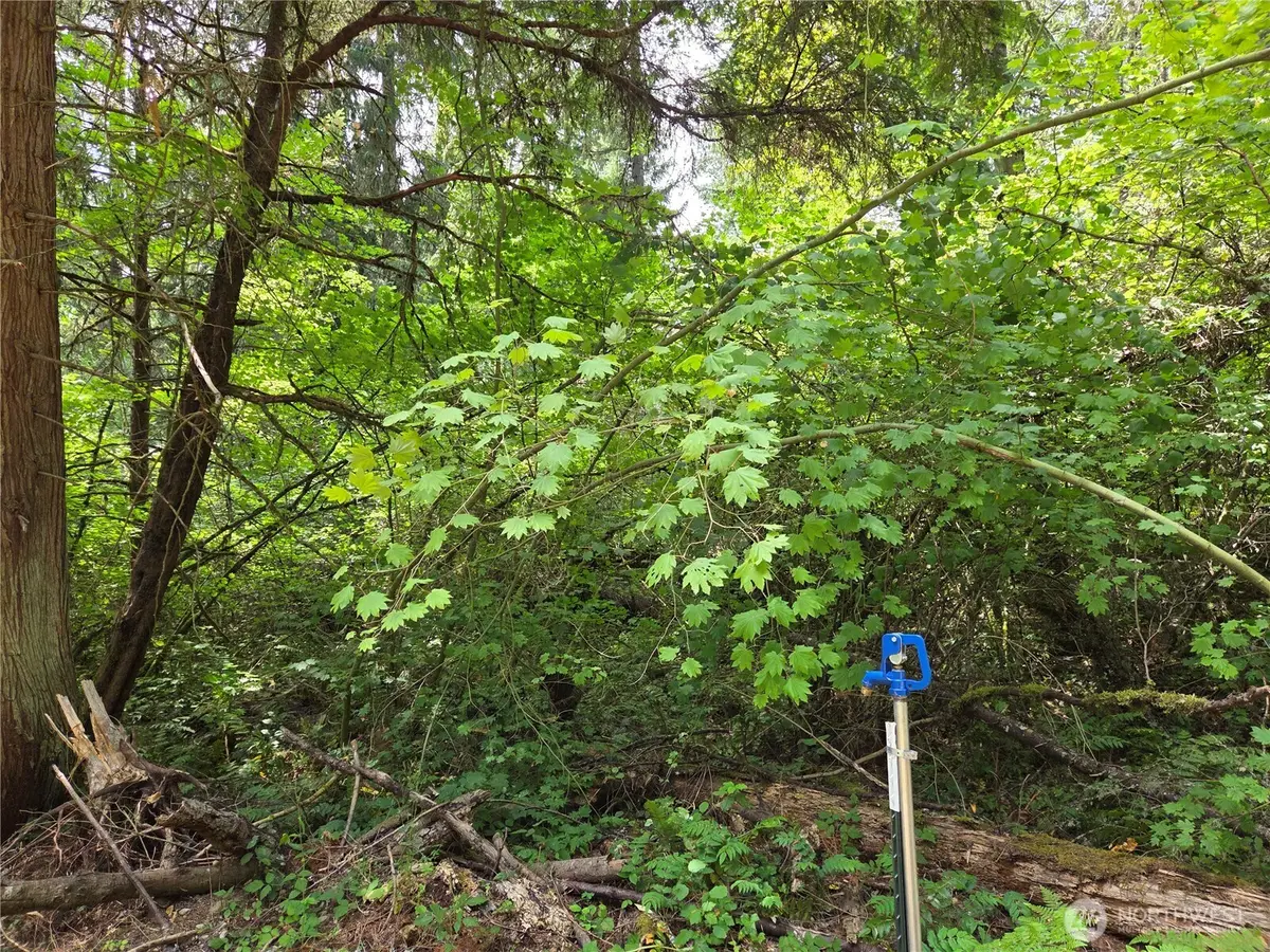 22041 Clear Lake Boulevard Se #159, Yelm, WA 98597 - Image #1