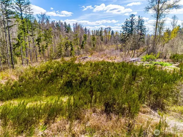 1 40th Avenue S, Roy, WA 98580