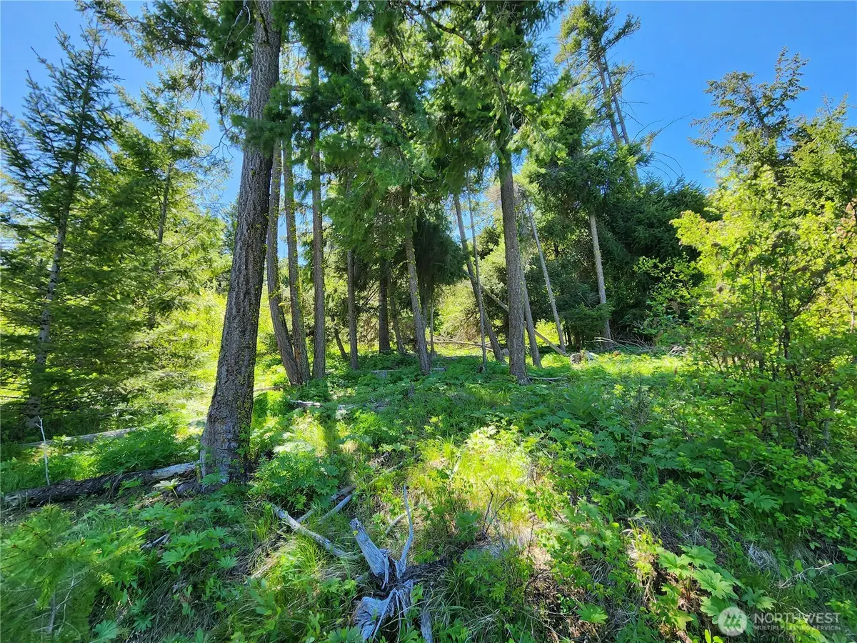 1 Black Hawk Drive #01, Cle Elum, WA 98922 - Image #1