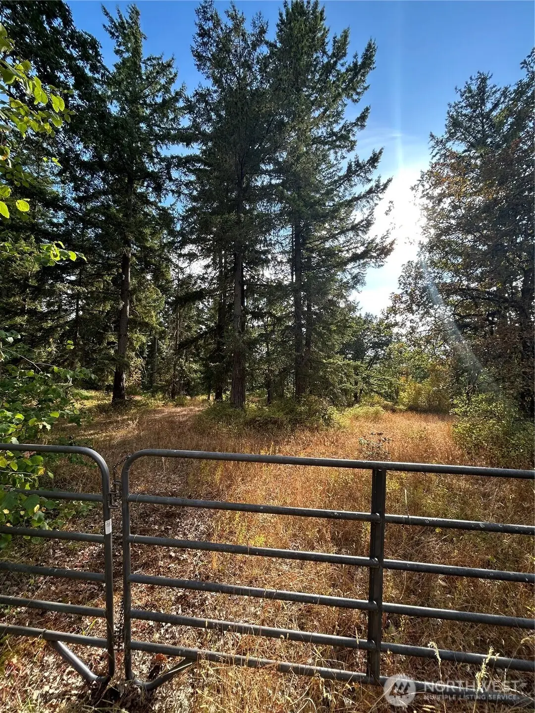 17837 Sargent Road Sw, Rochester, WA 98579 - #1