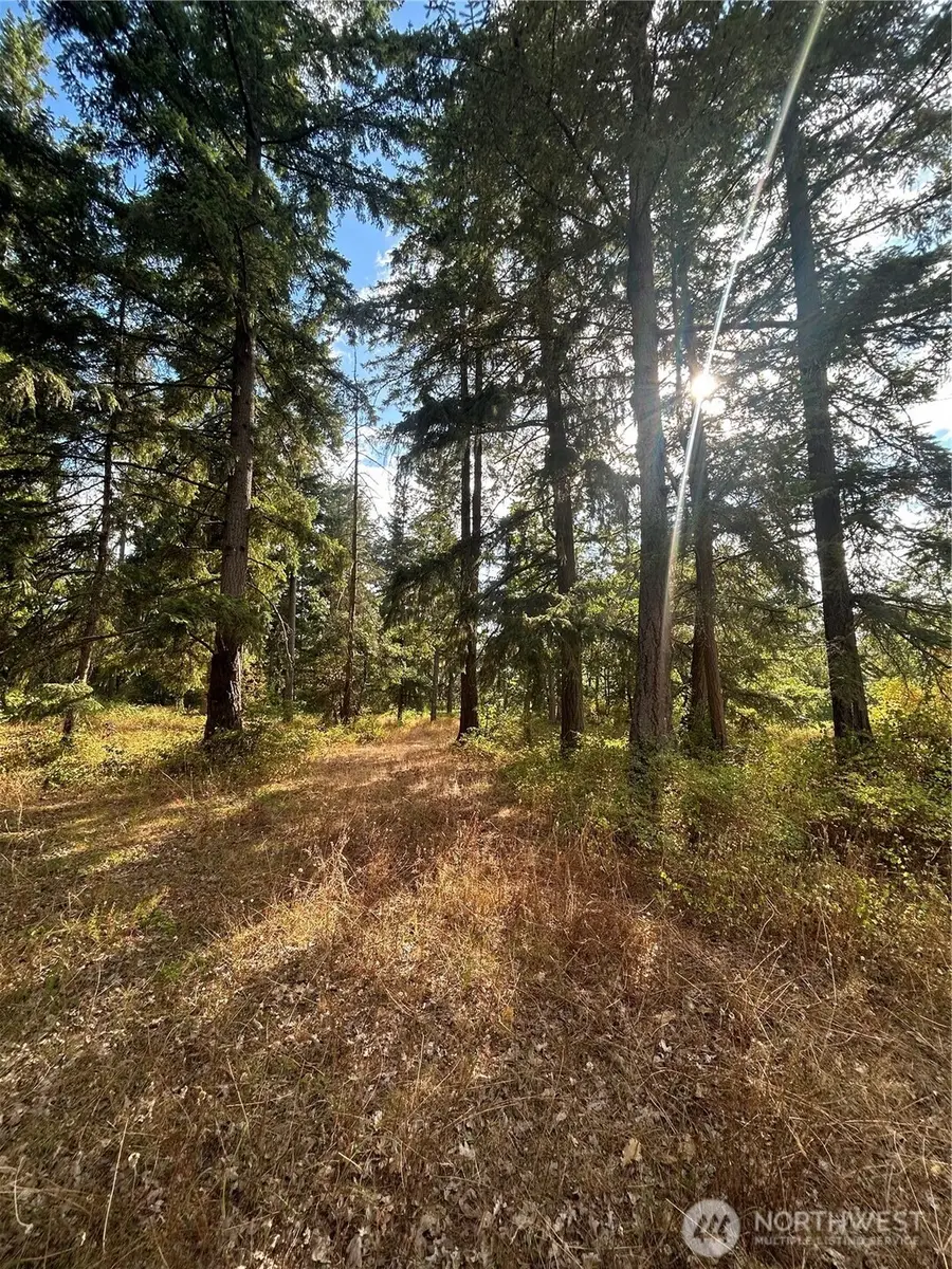 17837 Sargent Road Sw, Rochester, WA 98579 - #3