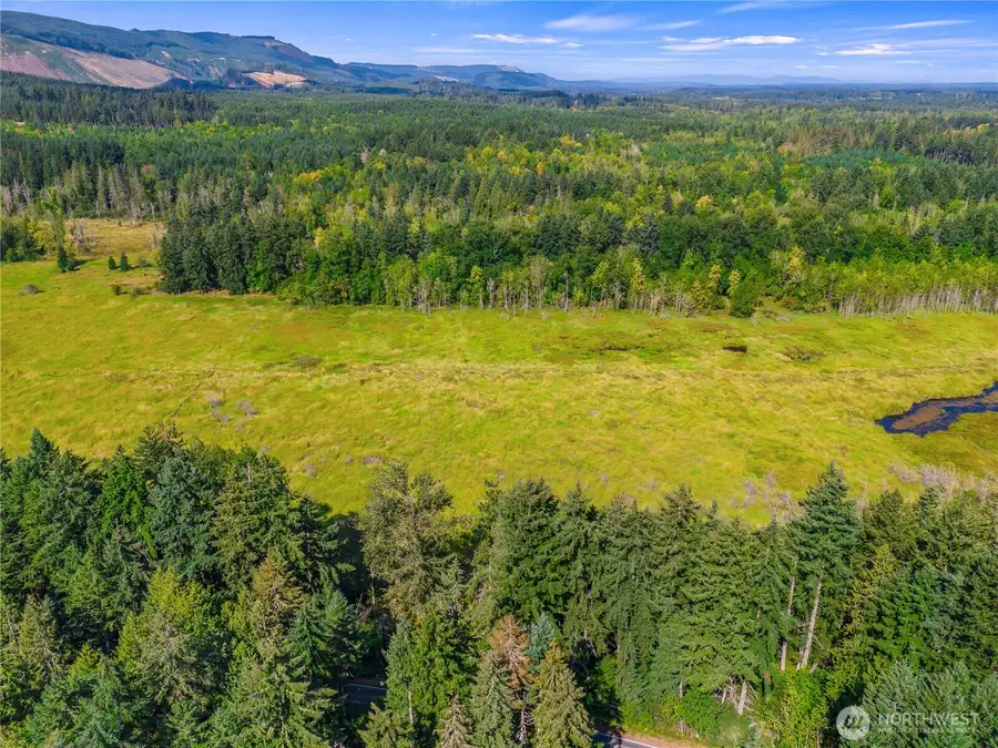 0 Bald Hills Road, Yelm, WA 98597 - Image #3