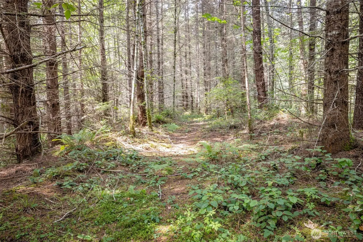 101 Wild Blackberry Lane, Port Angeles, WA 98363 - Image #1