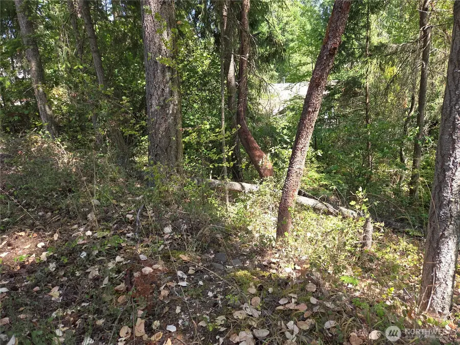 22137 Clear Lake Boulevard Se #152, Yelm, WA 98597 - #2