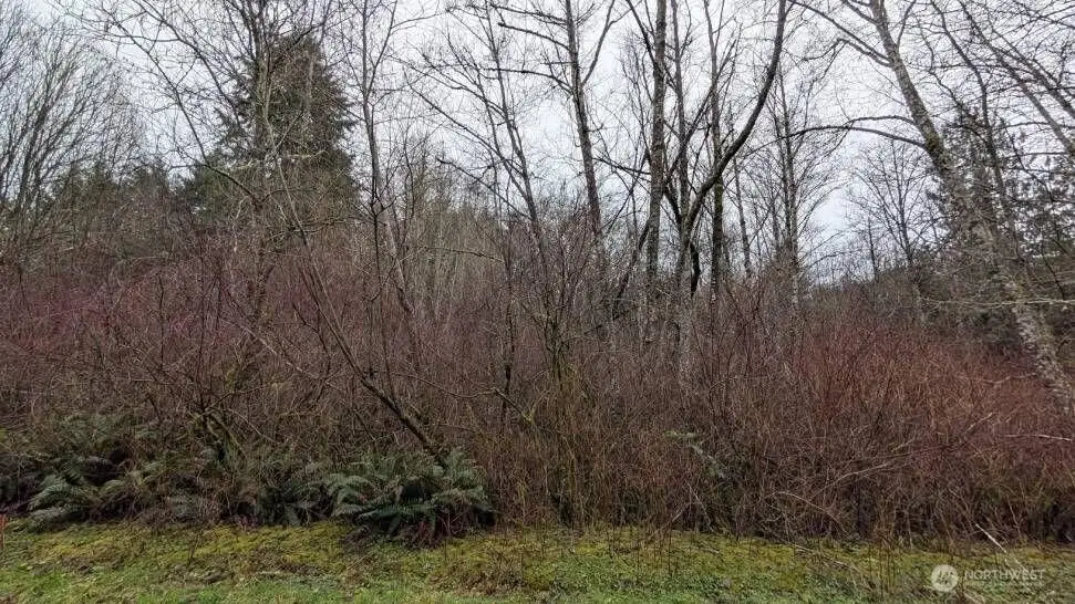 0 NE Lovgreen Road, Bainbridge Island, WA 98110 - Image #1