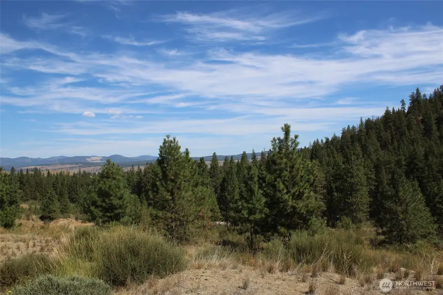 36605 Teel Hill Road N, Davenport, WA 99122 - Image #2