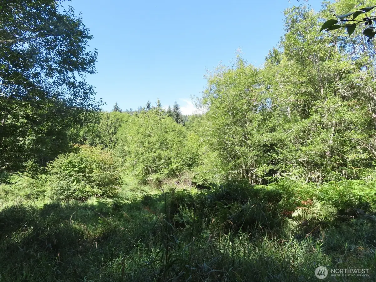 0 Salmon Creek Road, Mossyrock, WA 98564 - Image #1
