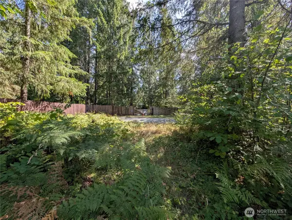 46017 Baker Drive, Concrete, WA 98237