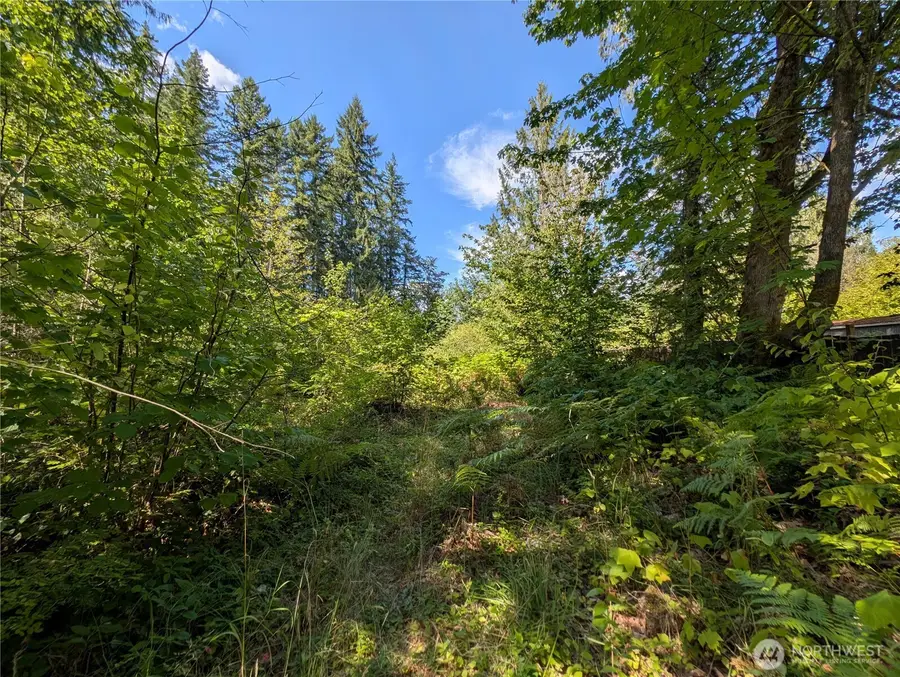 46017 Baker Drive, Concrete, WA 98237 - Image #2