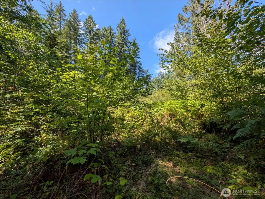 46017 Baker Drive, Concrete, WA 98237 - Image #3