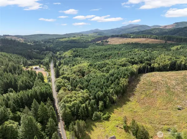 0 Pe Ell Mcdonald Road, Pe Ell, WA 98572