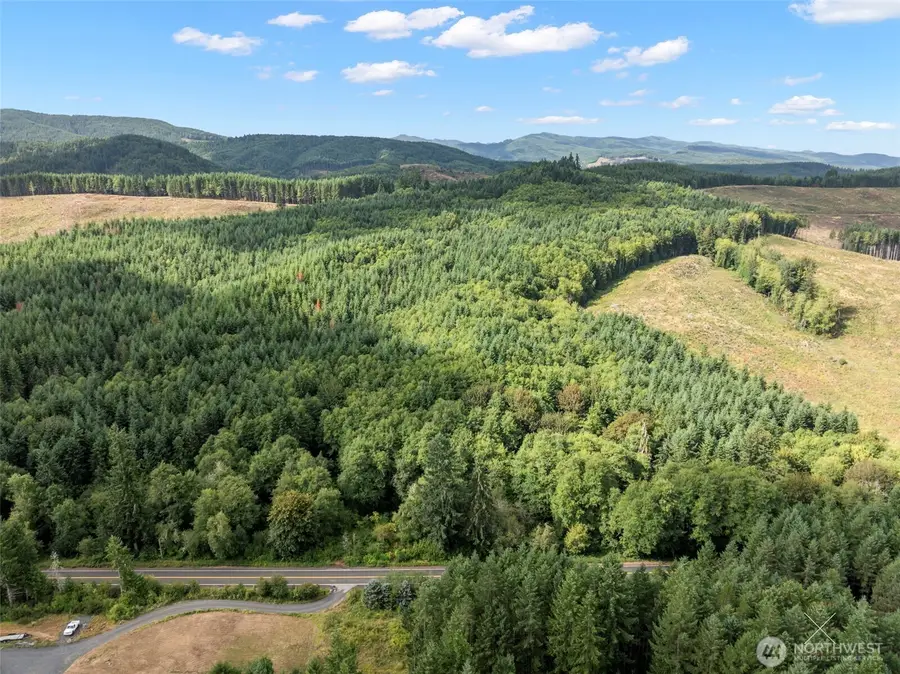 0 Pe Ell Mcdonald Road, Pe Ell, WA 98572 - Image #2