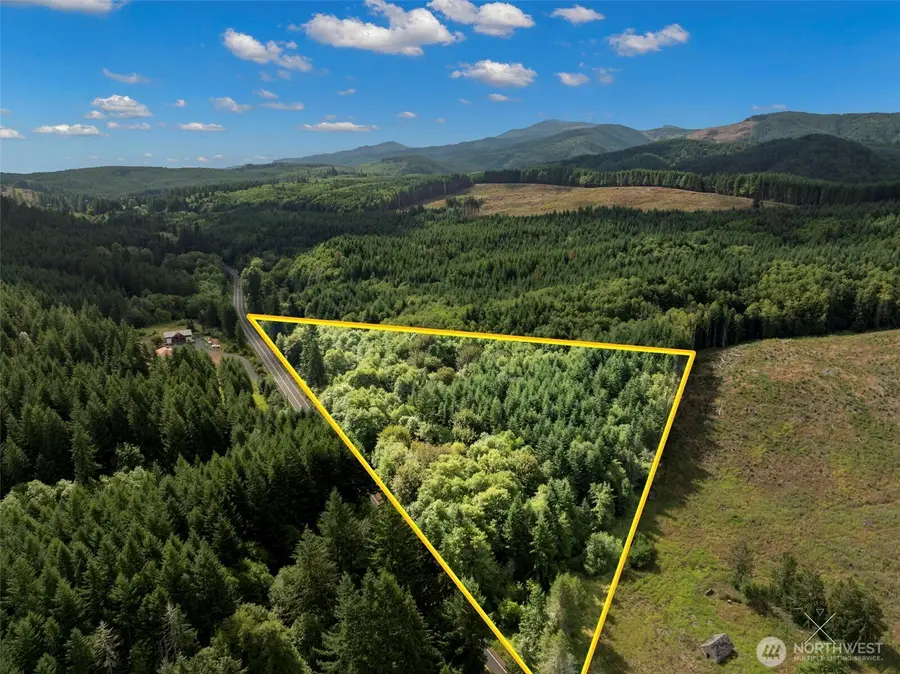 0 Pe Ell Mcdonald Road, Pe Ell, WA 98572 - Image #3