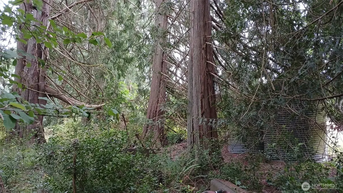 0 127th Avenue Ne #6, Arlington, WA 98223 - #1