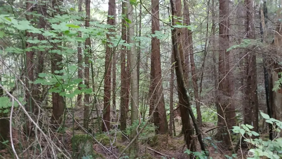 0 127th Avenue Ne #6, Arlington, WA 98223 - #3