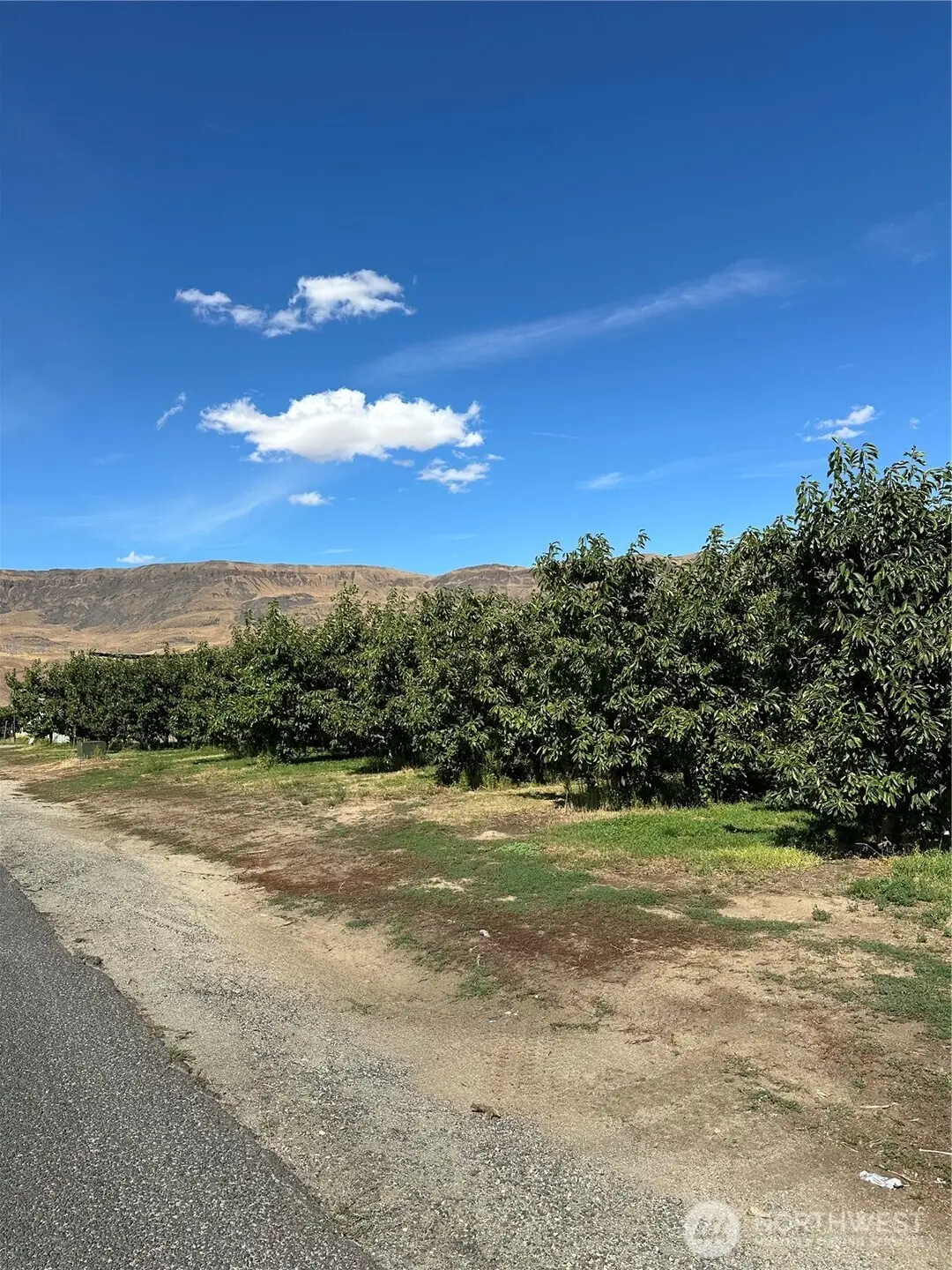 583 S Webb Avenue, East Wenatchee, WA 98802 - Image #1